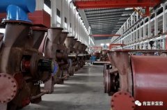 开云手机官方站登录入口-开云(中国)被评为2019年度三水区骨干企业